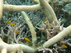 s-IMG_0825