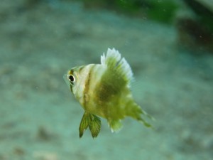 s-IMG_0835