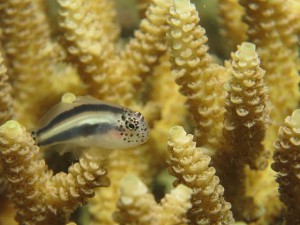 s-IMG_1006