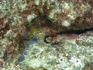 s-IMG_1526
