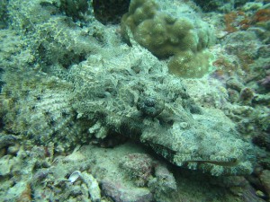 s-IMG_1813