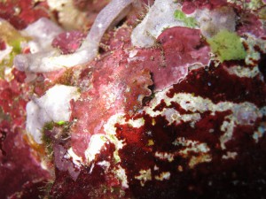 s-IMG_3206