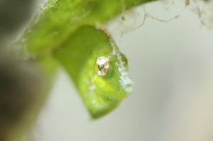 s-IMG_7606