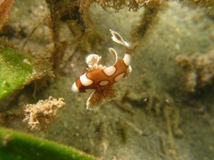 s-IMG_8686