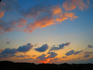 sIMG_0018