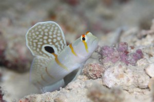 sIMG_0056