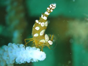 sIMG_0176