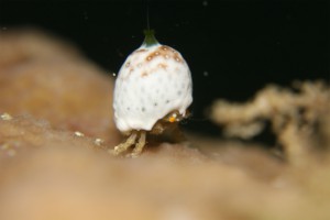 sIMG_0622