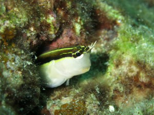 sIMG_0642