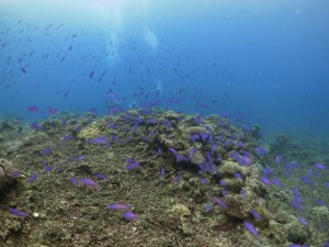 sIMG_0674