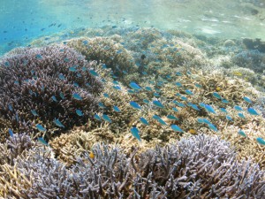 sIMG_0728