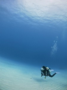 sIMG_0769