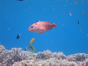 sIMG_0995