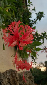s-DSC_0371