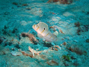 s-IMG_0248