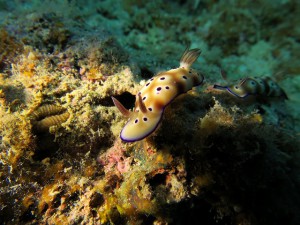 s-IMG_0272