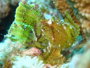 s-IMG_1845