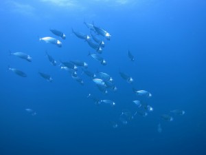 s-IMG_3457