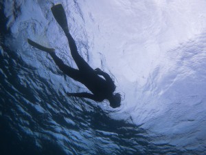 s-IMG_3474
