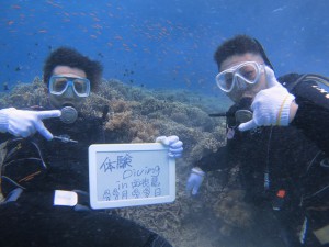 s-IMG_3501
