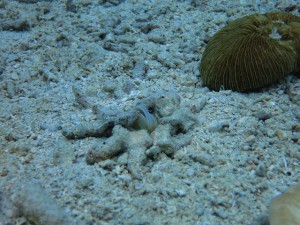 s-IMG_3516