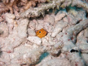 s-IMG_3519