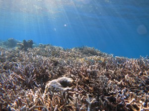 s-IMG_3870