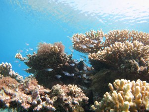 s-IMG_3878