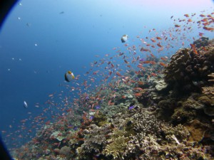 sIMG_2875