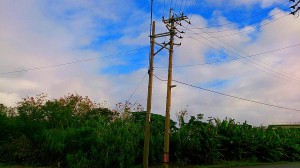 s-DSC_0068