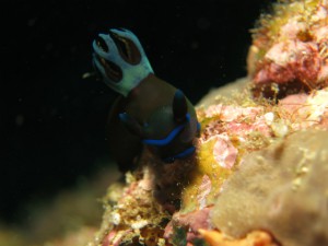 sIMG_0090