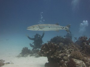 s-IMG_3024