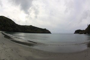 IMG_0405