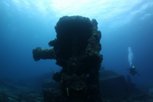 IMG_0447