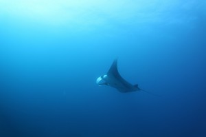IMG_0506