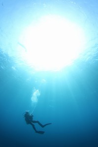 IMG_0570