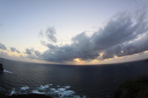 IMG_0580