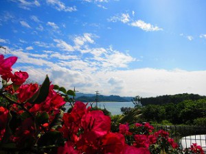 IMG_3234