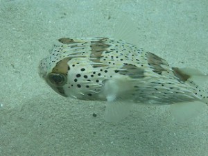 IMG_2556