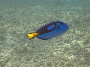 IMG_2283