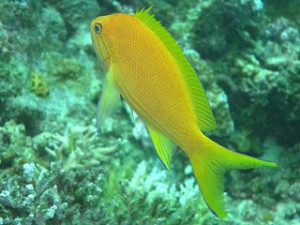 IMG_2636