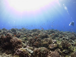 s-IMG_8575