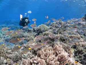 s-IMG_8593