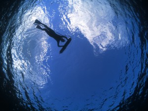 IMG_0993