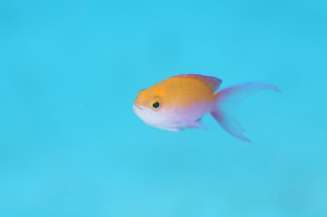 IMG_7280