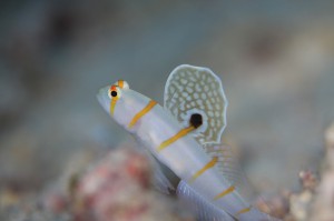 IMG_9989