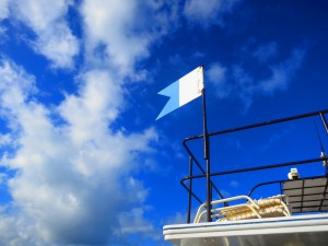 s-IMG_5569