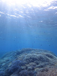 s-IMG_5617