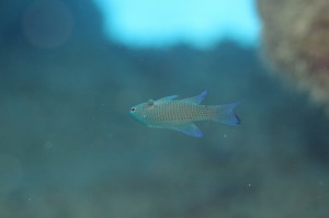 IMG_7871