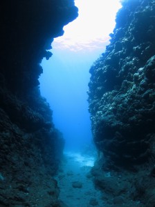 IMG_8600